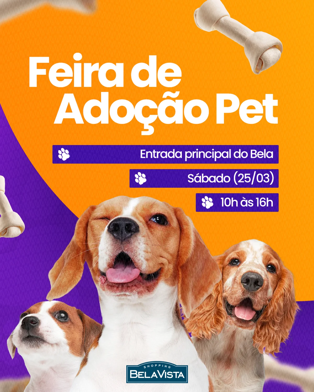 Shopping Bela Vista recebe Feira de Adoção Pet neste sábado (25)